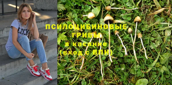 spice Заволжье